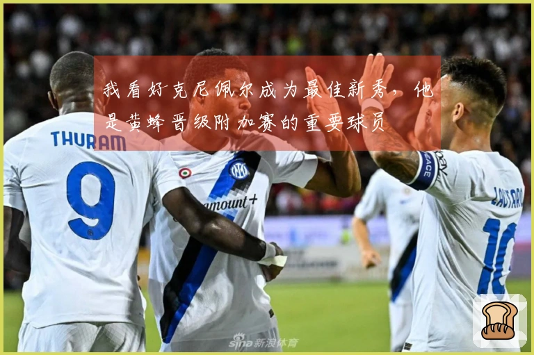 我看好克尼佩尔成为最佳新秀，他是黄蜂晋级附加赛的重要球员
